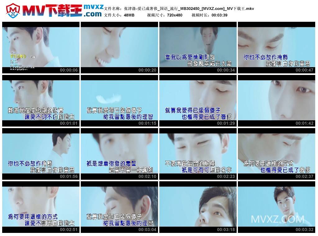 张津涤-爱已成奢侈_国语_流行_MB302450